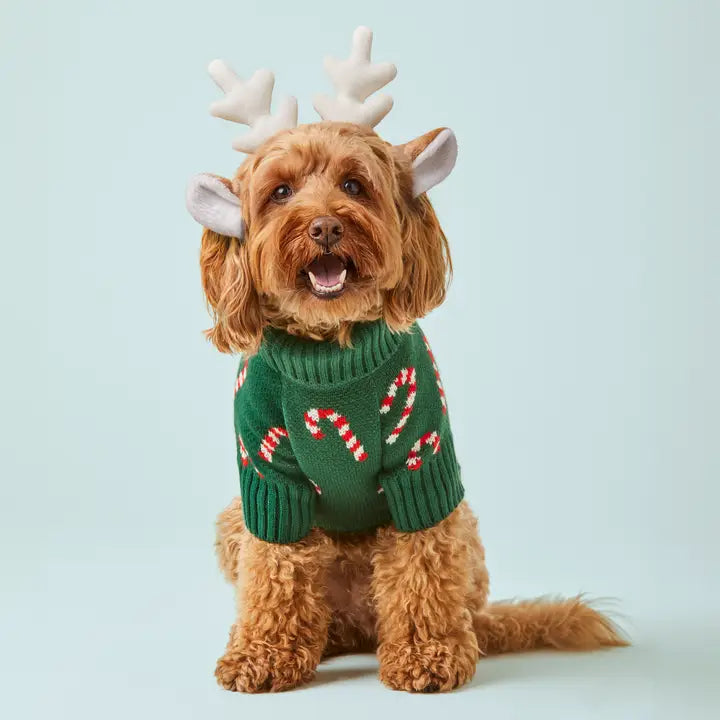 The Foggy Dog Candy Canes Holiday Knit Sweater