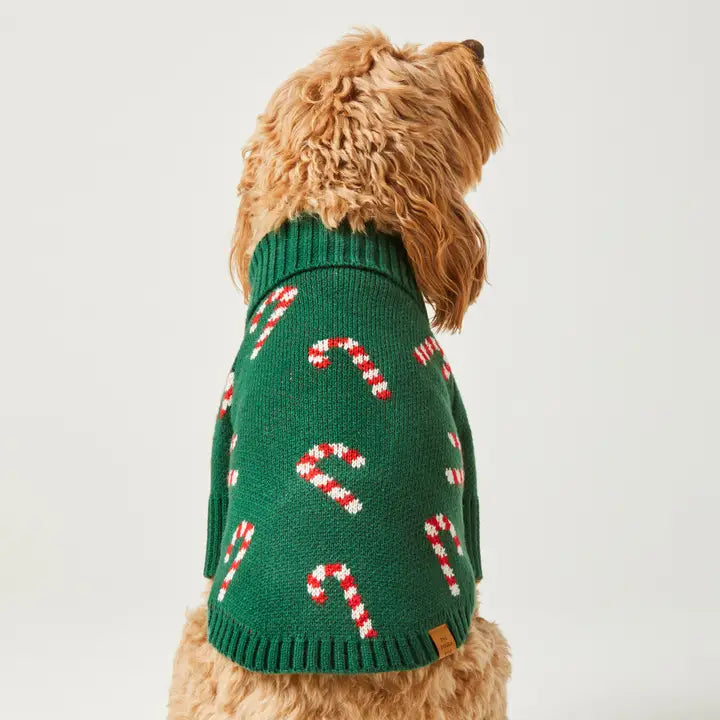 The Foggy Dog Candy Canes Holiday Knit Sweater