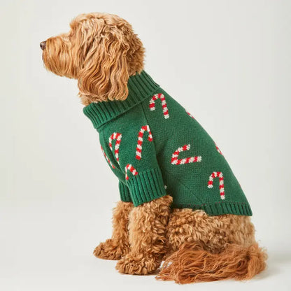 The Foggy Dog Candy Canes Holiday Knit Sweater