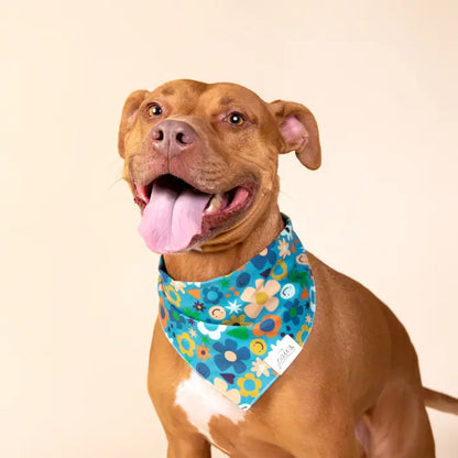 The Paws All Happy Bandana for Dogs and Cats