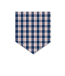 The Paws Apres Bandana for Dogs and Cats