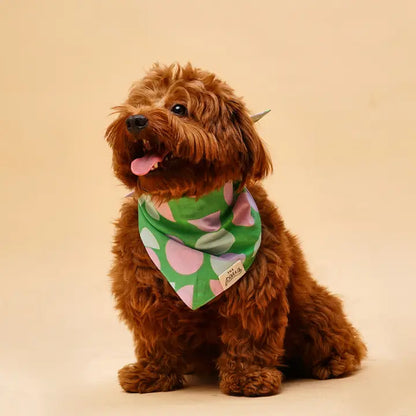 The Paws Elroy Bandana for Dogs and Cats