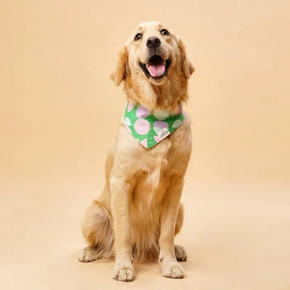 The Paws Elroy Bandana for Dogs and Cats