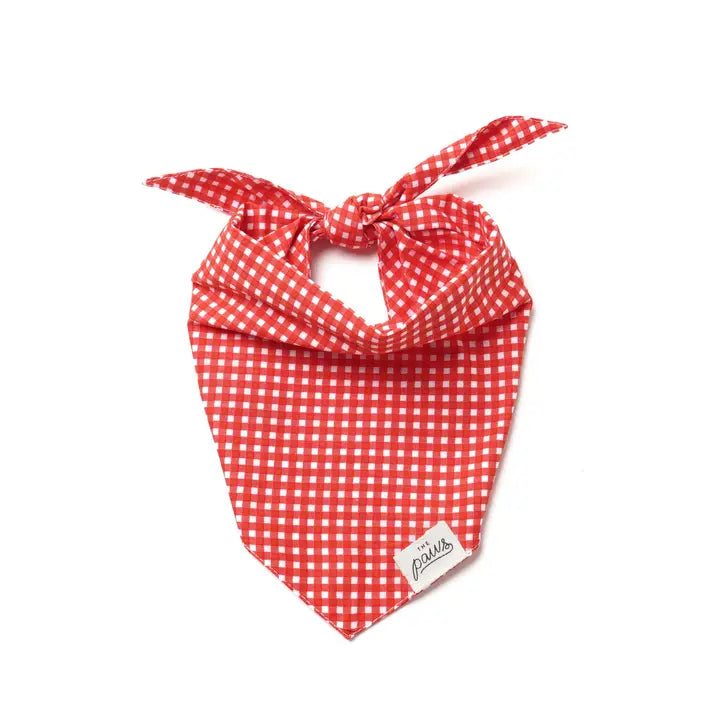 The Paws Red Gingham Bandana for Dogs and Cats
