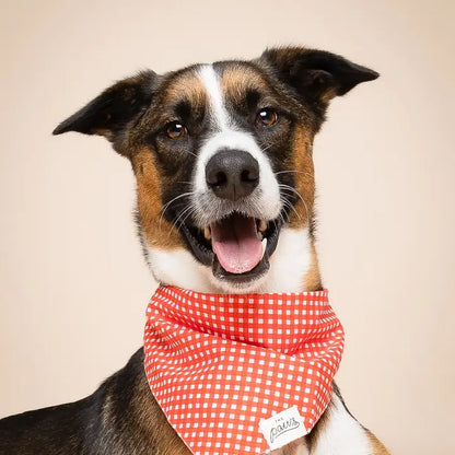 The Paws Red Gingham Bandana for Dogs and Cats
