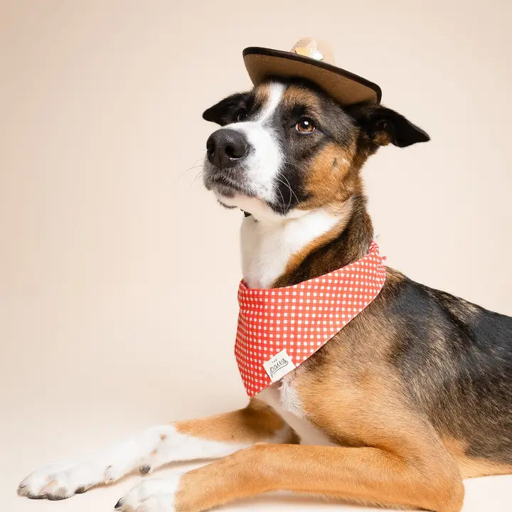 The Paws Red Gingham Bandana for Dogs and Cats