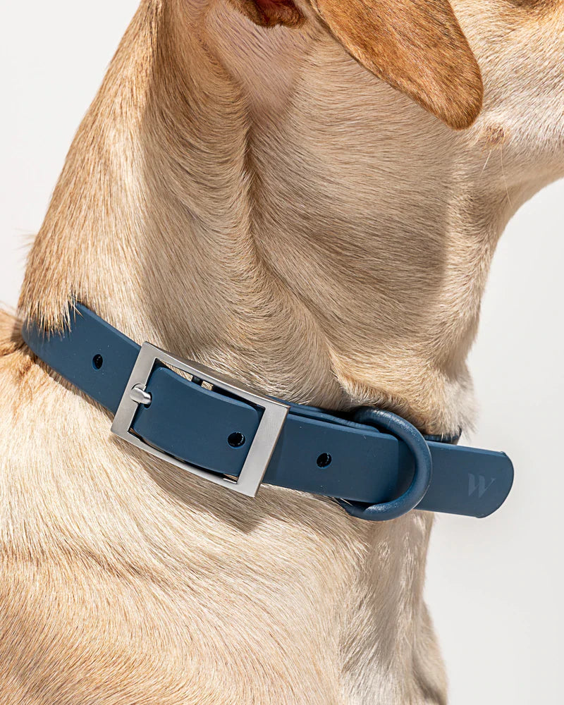 Wild One Navy Waterproof Collar