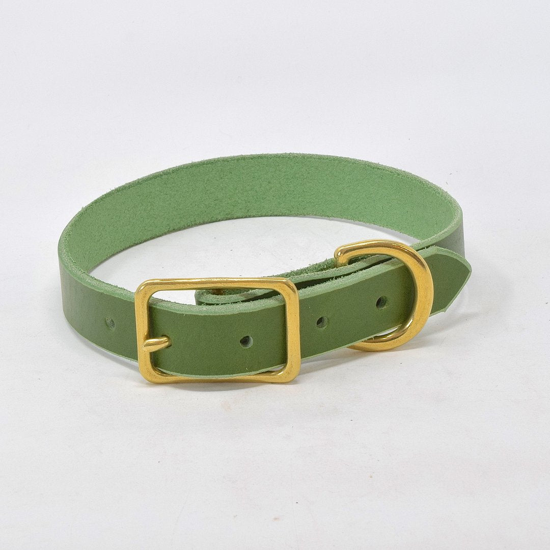 Green Premium Leather Dog Collar