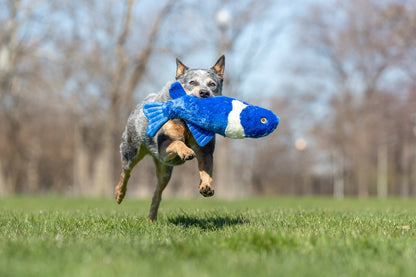 Gill Koi Fish Plush Dog Toy