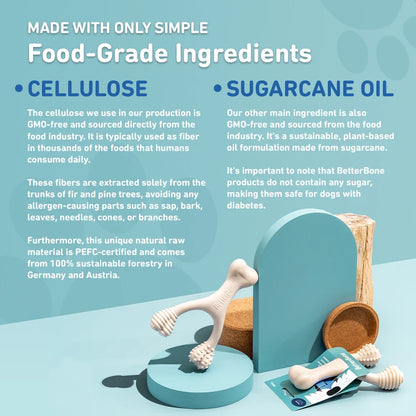 Betterbone Soft Density Beef Flavor Chew Bone Toy, Small