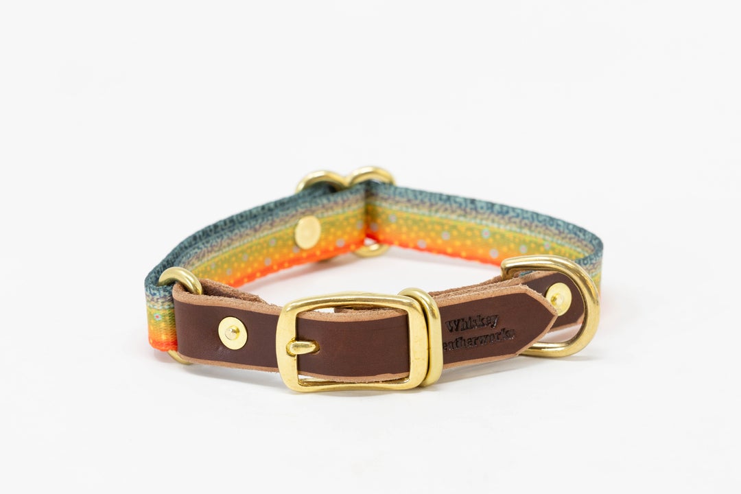 Leather & Brook Trout Print Adjustable Dog Collar (S-M)
