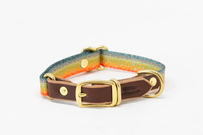 Leather & Brook Trout Print Adjustable Dog Collar (S-M)