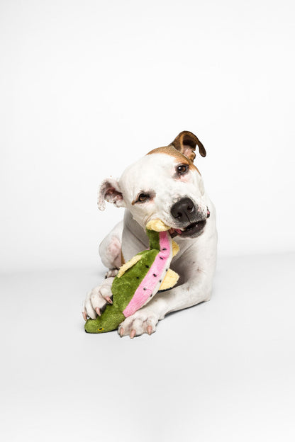 Burt The Lake Trout Fish Plush Dog Toy