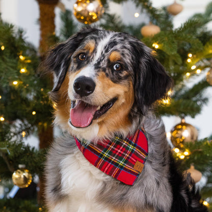 Tartan Plaid Flannel Holiday Bandana for Dogs and Cats