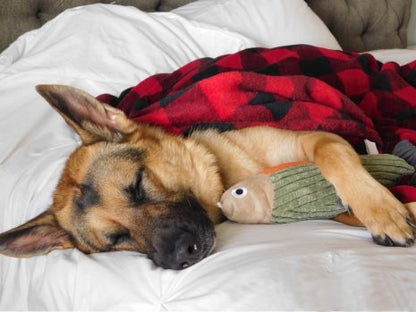 Hunter Red and Black Dog Blanket