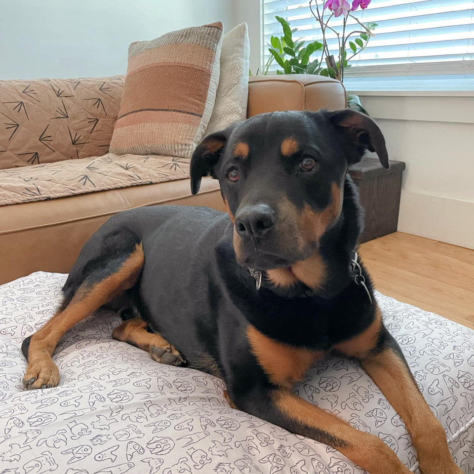 Molly Mutt Duvet Only You