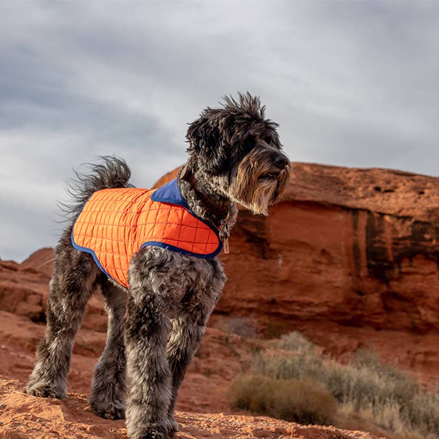 Nikki Reversible Waterproof Jacket