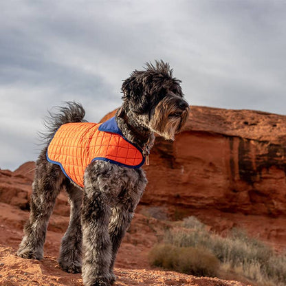 Nikki Reversible Waterproof Jacket