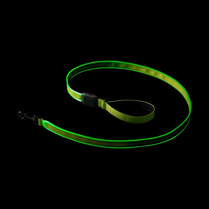 NiteDog Rechargeable LED Leash