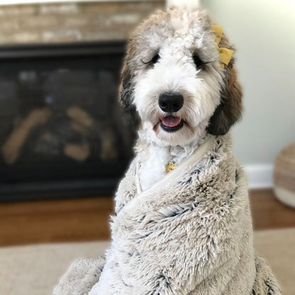 Tall Tails Khaki Waterproof Luxe Soft Blanket 40" by 60"