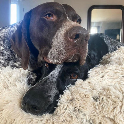 Tall Tails Khaki Waterproof Luxe Soft Blanket 40" by 60"