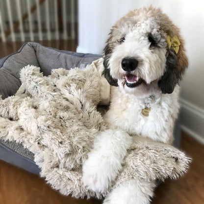 Tall Tails Khaki Waterproof Luxe Soft Blanket 40" by 60"