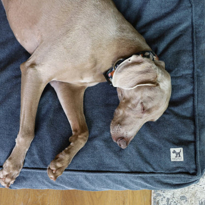 Molly Mutt Duvet Dragonstone