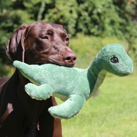 Tall Tails Nessie Rope Dog Toy 13"