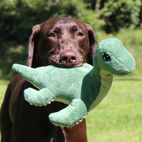 Tall Tails Nessie Rope Dog Toy 13"