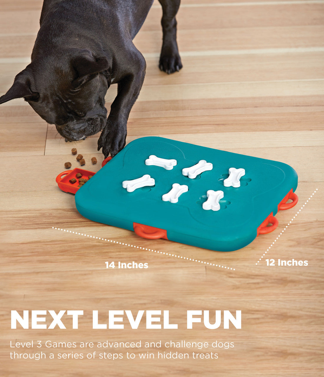 Outward Hound Dog Casino Advanced Treat Puzzle