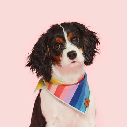 Over The Rainbow Bandana for Dogs and Cats