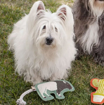 Speckle and Spot Buffalo and Rope Dog Toy