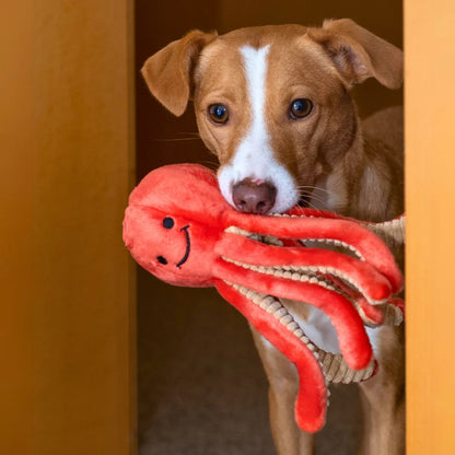 Squirt Octopus Plush Dog Toy